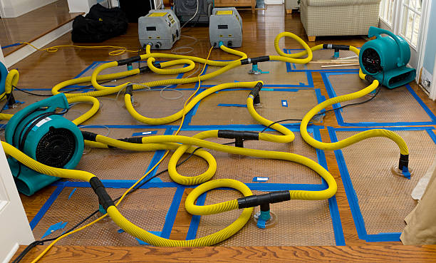 Professional Flood Damage Restoration technician working in Lummi Island, WA